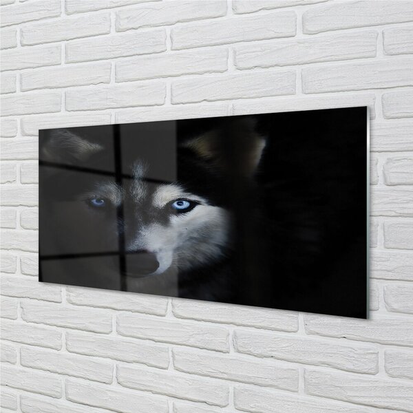 Sklenený obraz wolf Eyes 100x50 cm 2 Prívesky