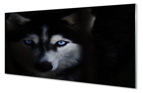 Sklenený obraz wolf Eyes 100x50 cm 2 Prívesky