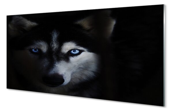 Sklenený obraz wolf Eyes 100x50 cm 2 Prívesky