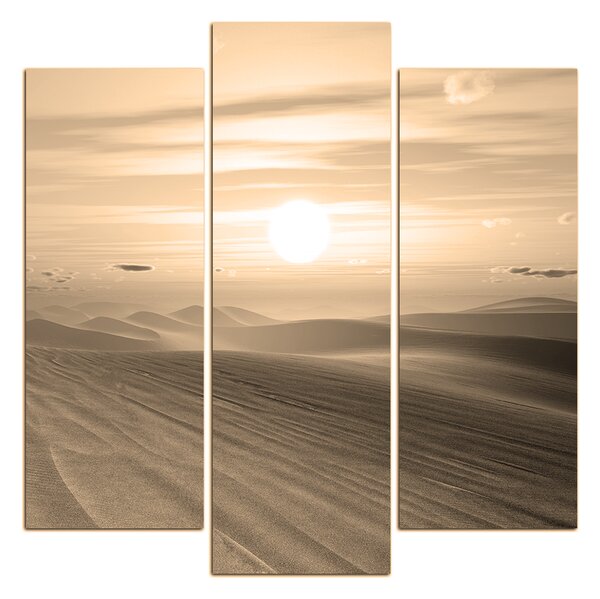 Obraz na plátne - Púštny západ slnka - štvorec. 3917FC (75x75 cm)