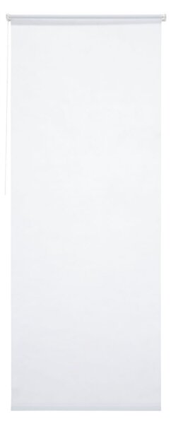 Livarno home Roleta na dvere prepúšťajúca denné svetlo, 80 x 200 cm (biela) (100345907)