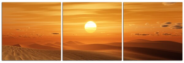 Obraz na plátne - Púštny západ slnka - panoráma 5917B (90x30 cm)