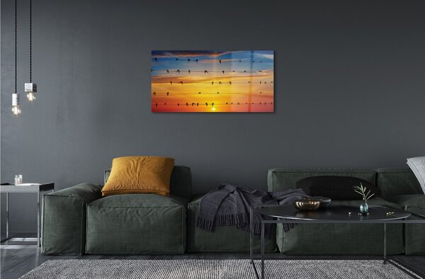 Sklenený obraz Vtáky na lanách západu slnka 100x50 cm 2 Prívesky