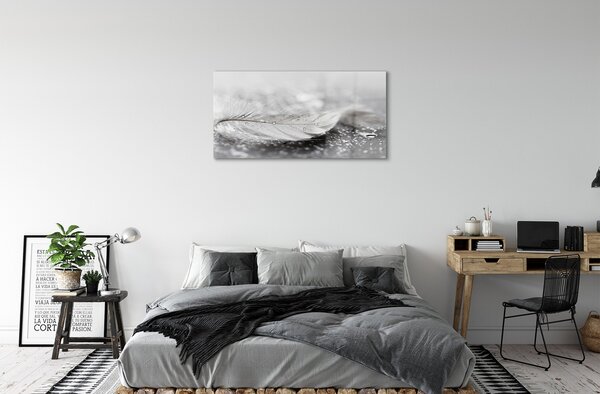 Obraz na skle Kvapky perie makro 100x50 cm 2 Prívesky