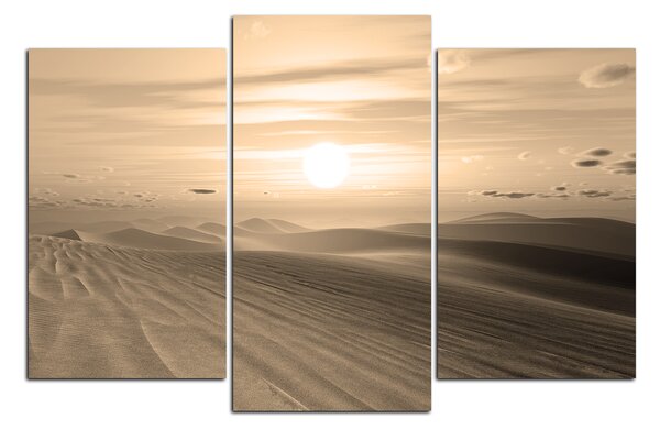 Obraz na plátne - Púštny západ slnka 1917FC (90x60 cm)