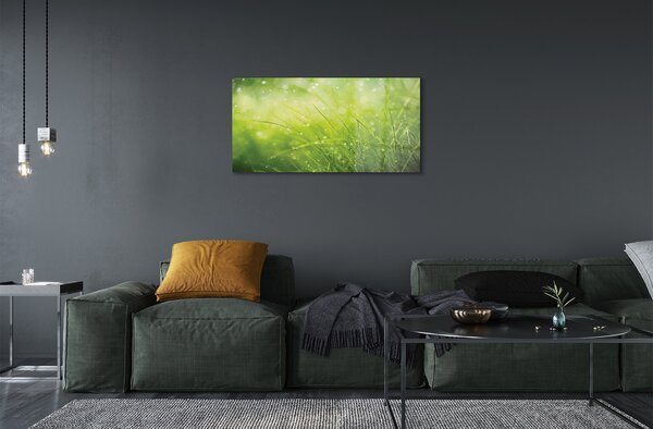 Obraz na skle Tráva kvapky rosy 100x50 cm 2 Prívesky