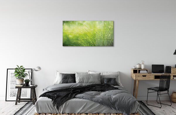 Obraz na skle Tráva kvapky rosy 100x50 cm 2 Prívesky