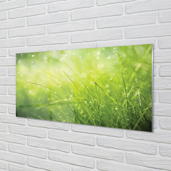 Obraz na skle Tráva kvapky rosy 100x50 cm 2 Prívesky