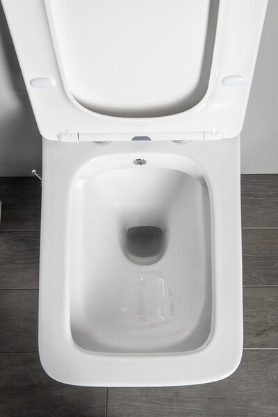 Sapho Sapho, PORTO CLEANWASH závesná WC misa Rimless, integrovaná batéria a bidetová spŕška 36x52cm, biela, PZ102RX