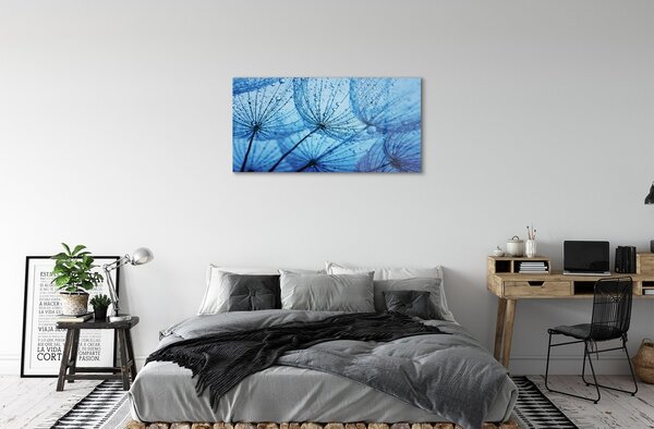 Obraz na skle Kvapky makro púpavy 100x50 cm 2 Prívesky