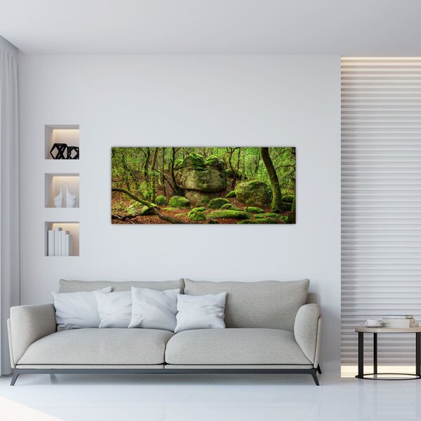 Obraz čarovného lesa (120x50 cm)