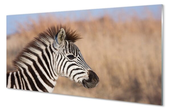 Sklenený obraz zebra 100x50 cm 2 Prívesky