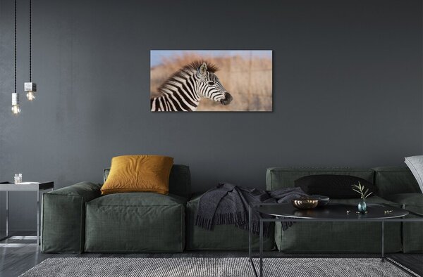 Sklenený obraz zebra 100x50 cm 2 Prívesky