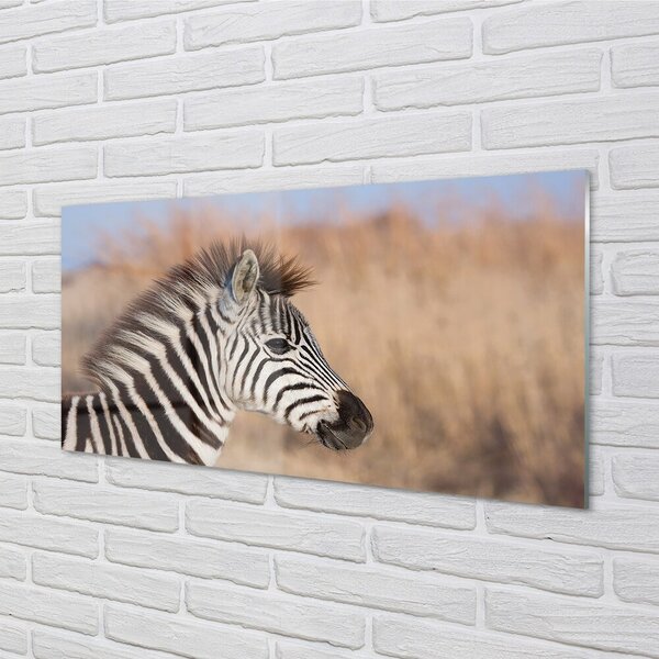 Sklenený obraz zebra 100x50 cm 2 Prívesky