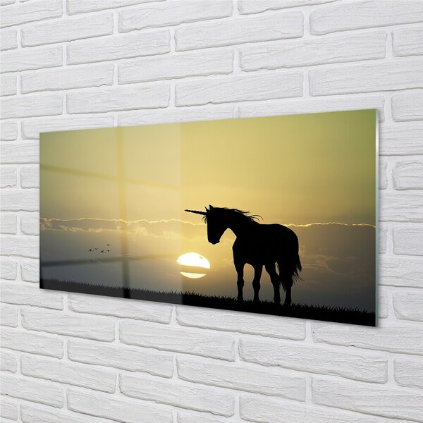 Sklenený obraz Pole sunset jednorožec 100x50 cm 2 Prívesky