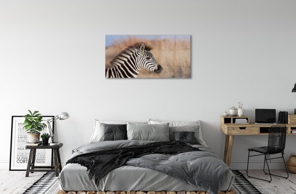 Sklenený obraz zebra 100x50 cm 2 Prívesky