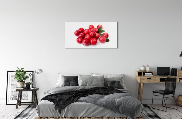Obraz na skle avokádo 100x50 cm 2 Prívesky