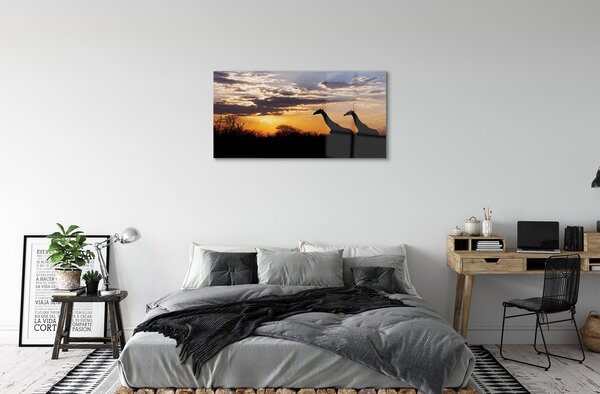 Obraz na skle Žirafy strom mraky 100x50 cm 2 Prívesky
