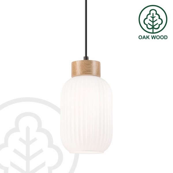 Luster na lanku HARMONY 1xE27/15W/230V pr. 14 cm biela/dub