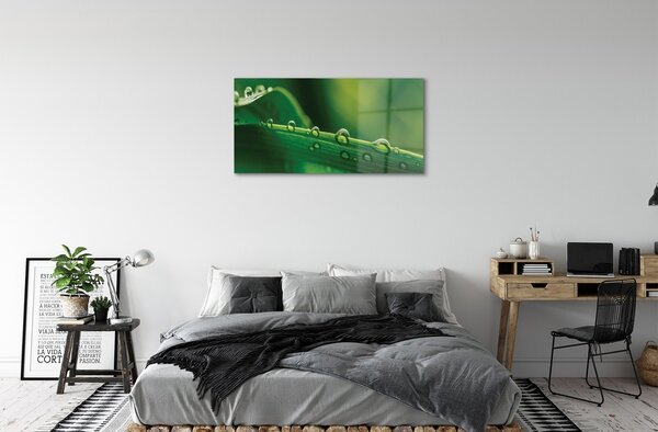 Obraz na skle Kvapky tráva makro 100x50 cm 2 Prívesky