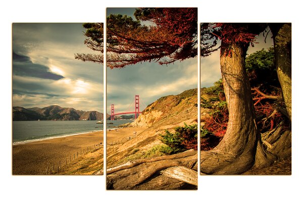 Obraz na plátne - Golden Gate Bridge 1922FC (90x60 cm)