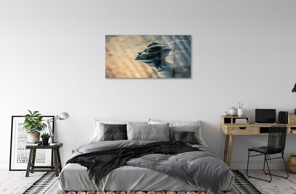 Obraz na skle formulár hlava 100x50 cm 2 Prívesky