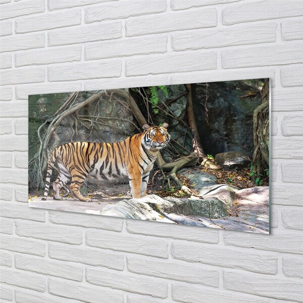 Sklenený obraz tiger džungle 100x50 cm 2 Prívesky