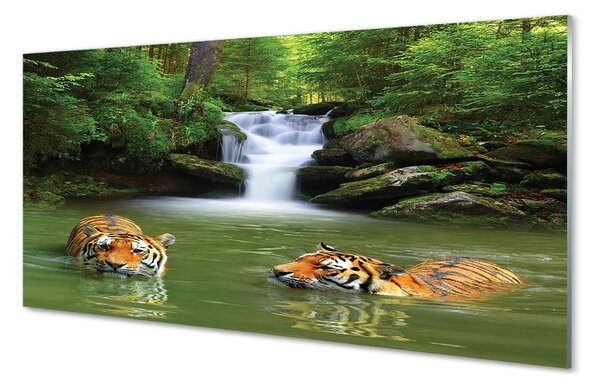 Sklenený obraz vodopád tigre 100x50 cm 2 Prívesky