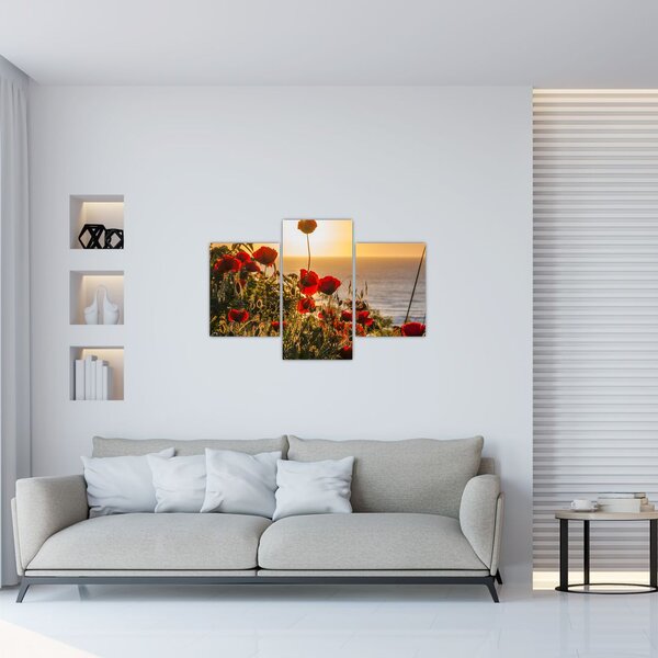 Obraz západu slnka s vlčími makmi (90x60 cm)