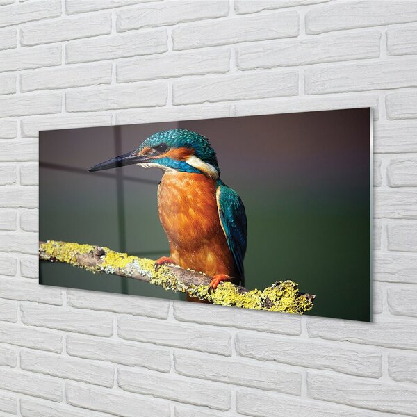 Sklenený obraz Farebný vták na vetve 100x50 cm 2 Prívesky