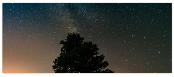 Obraz nočnej oblohy so stromami (120x50 cm)