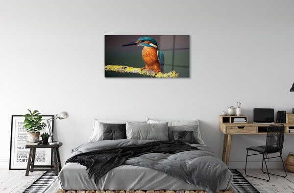 Sklenený obraz Farebný vták na vetve 100x50 cm 2 Prívesky