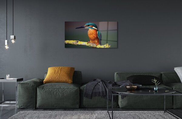Sklenený obraz Farebný vták na vetve 100x50 cm 2 Prívesky