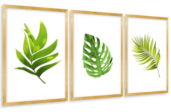 Gario Sada plagátov Zelené listy - 3 dielna Farba rámu: Zlatá, Veľkosť: 135 x 63 cm