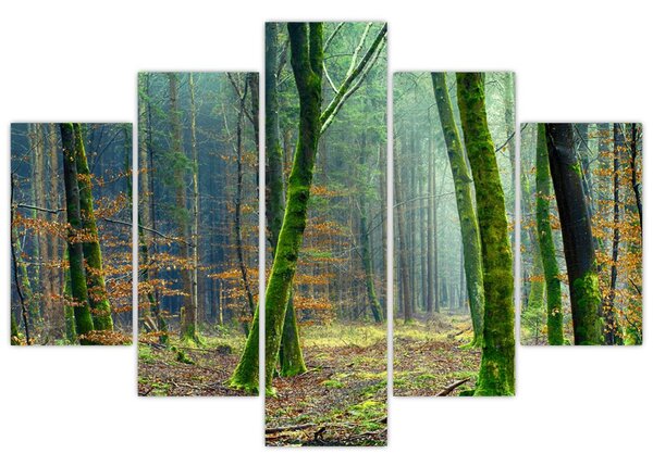 Obraz lesa (150x105 cm)