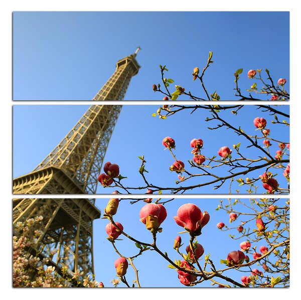 Obraz na plátne - Eiffelova veža v jarnom období - štvorec 334C (75x75 cm)