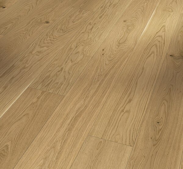 PARADOR Trendtime 4 Living Dub molvina prírodná 1748907 - 2.89 m2