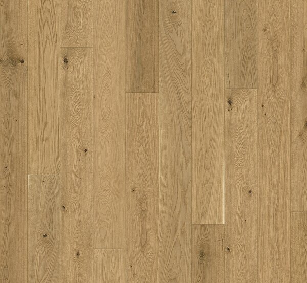 PARADOR Trendtime 4 Living Dub molvina prírodná 1748907 - 2.89 m2