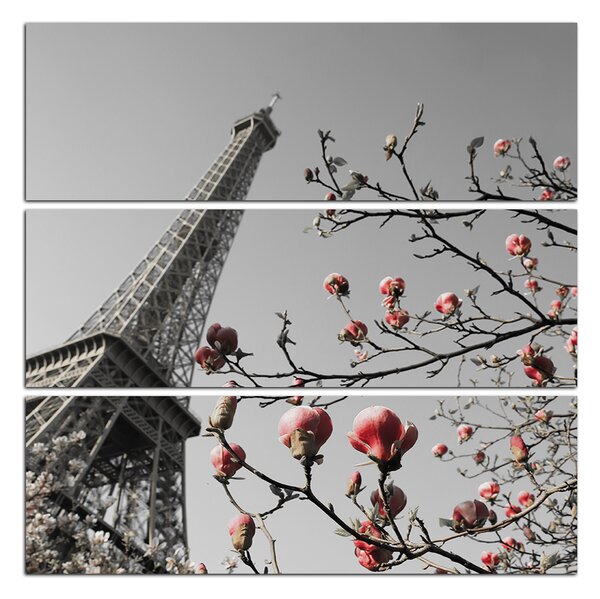 Obraz na plátne - Eiffelova veža v jarnom období - štvorec 334ČC (75x75 cm)