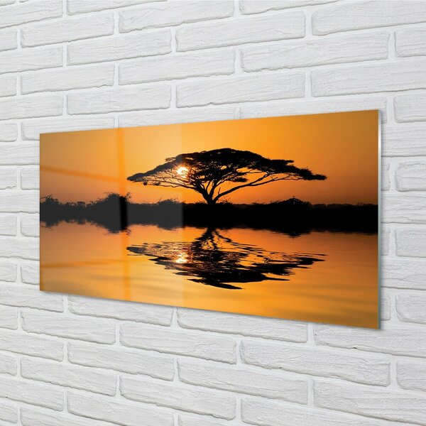 Obraz na skle Sunset tree 100x50 cm 2 Prívesky