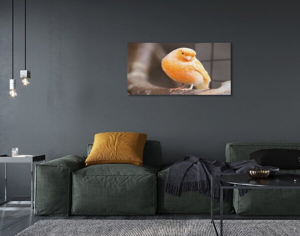 Sklenený obraz vetva papagáj 100x50 cm 2 Prívesky