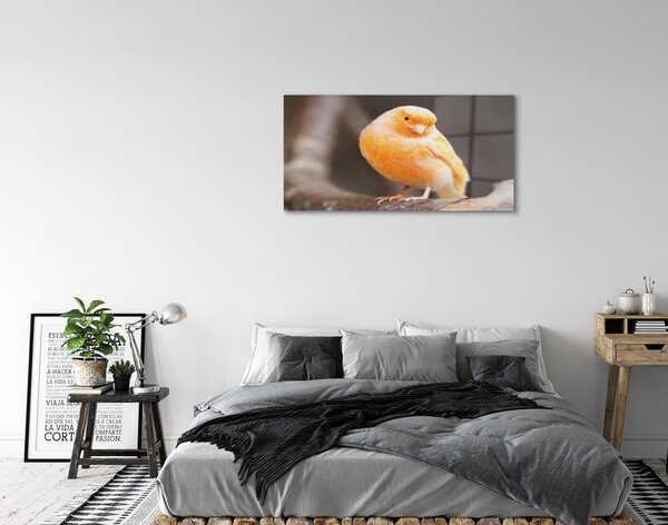 Sklenený obraz vetva papagáj 100x50 cm 2 Prívesky