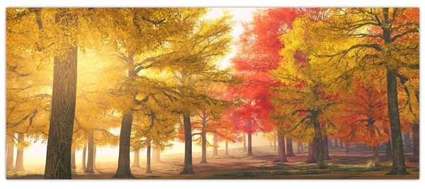 Obraz jesenných stromov (120x50 cm)