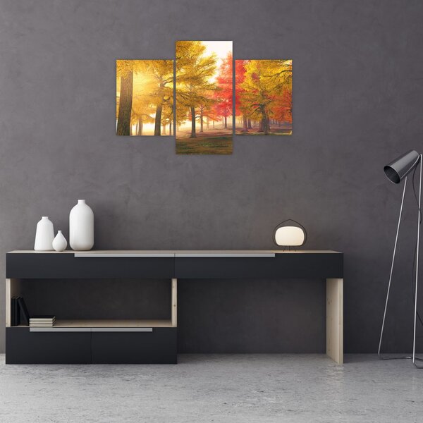 Obraz jesenných stromov (90x60 cm)