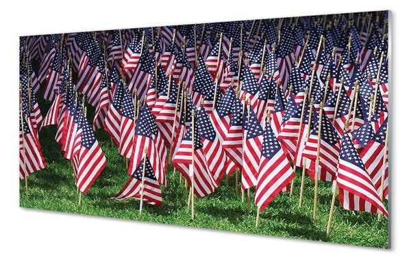 Sklenený obraz usa vlajky 100x50 cm 4 Prívesky