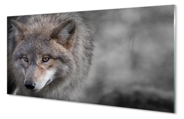 Sklenený obraz vlk 100x50 cm 2 Prívesky