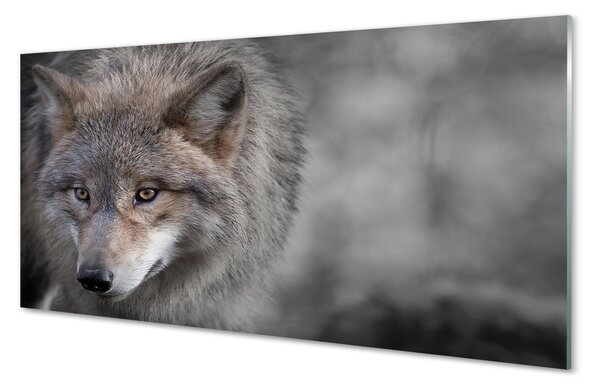 Sklenený obraz vlk 100x50 cm 2 Prívesky