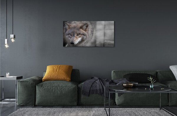 Sklenený obraz vlk 100x50 cm 2 Prívesky