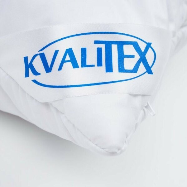 Kvalitex Vankúš Aloe Vera Alaska zips, 70 x 90 cm