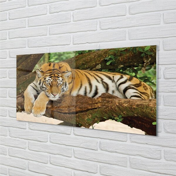 Sklenený obraz tiger tree 100x50 cm 2 Prívesky